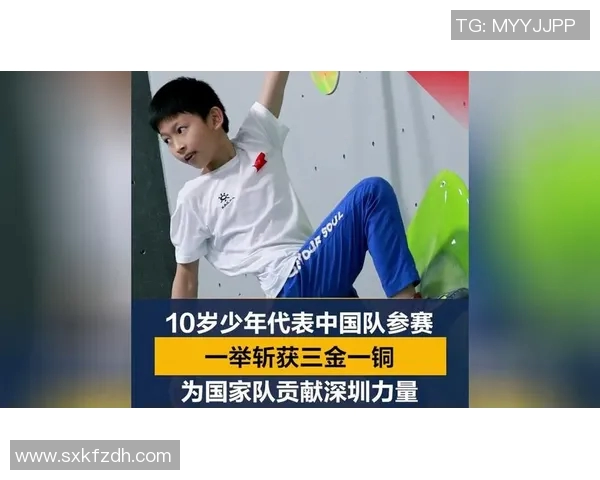 深圳攀岩队实力深度对比及未来发展潜力分析